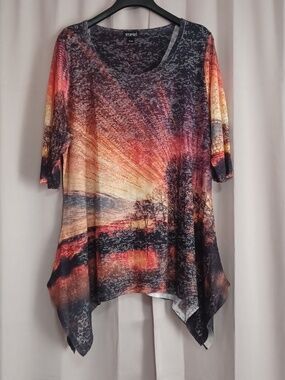 Zuriel Wearable Art Landscape Sunset Tunic Assymmetrical Hem Rhinestones Plus Sz